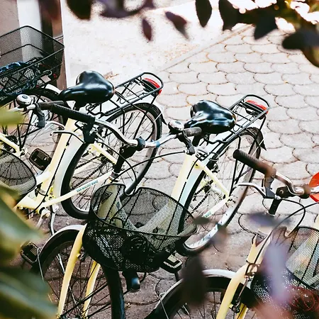 Paglierani - Nuova Gestione 2024