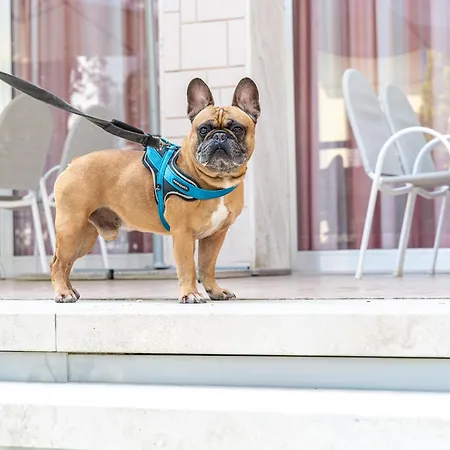 Paglierani - Nuova Gestione 2024