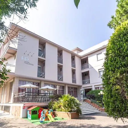 Otel Paglierani - Nuova Gestione 2024