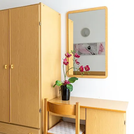 Otel Paglierani - Nuova Gestione 2024 San Mauro Mare