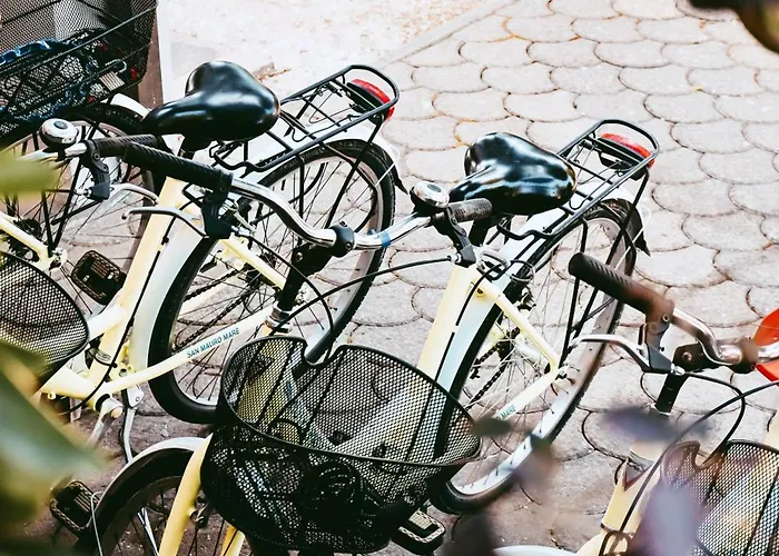 Paglierani - Nuova Gestione 2024