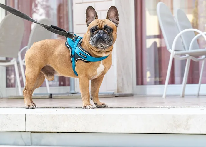 Paglierani - Nuova Gestione 2024