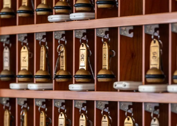 Paglierani - Nuova Gestione 2024 San Mauro Mare