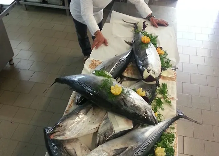 Paglierani - Nuova Gestione 2024 3* San Mauro Mare